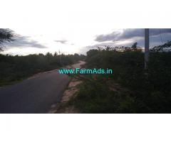 3 Acre Agricultural land for sale at Chiknayakanahalli