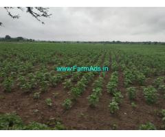 3 Acres Agriculture land for sale near Amangal,Srisailam Highway