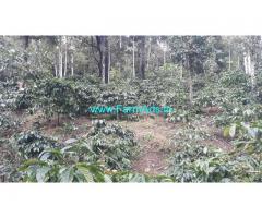 7.50 acre well maintained coffee estate for sale in Madikeri