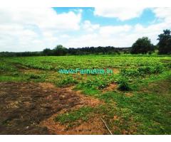116 Acres Agriculture Land for Sale near Siddapur