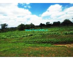 116 Acres Agriculture Land for Sale near Siddapur