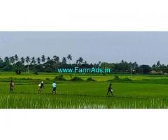 5.5 Acres Agriculture Land for Sale near Katlampudi