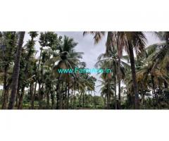 2 acre land available between Banavar to Javagal NH road