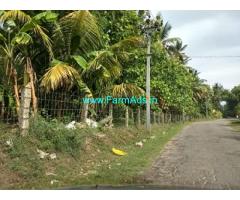 9.5 Acre Coconut Mango farmland for sale in Chemmanampathy