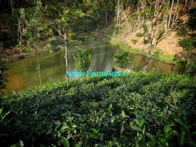 11 Acres 30 Cents Agriculture Land for Sale near Idukki Idukki - FarmAds.in