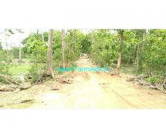 13 Acres Agriculture Land for sale in Thanjavur vai Ammapettai