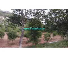 6.10 Acres Farm Land for Sale near Tirupathi