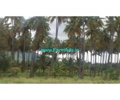 16 Acres Coconut Farm Land for Sale near Govindapuram