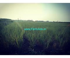 5.10 Acres Agriculture Land for Sale near Athani