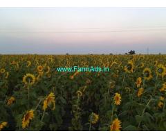 11 Acres Agriculture Land for Sale near Chitradurga