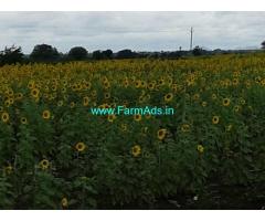 11 Acres Agriculture Land for Sale near Chitradurga