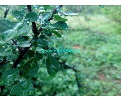 1 Acre Agriculture Land for Sale near Dharapuram