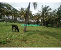 27 Guntas Coconut Farm Land for Sale near Nelamangala