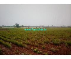 6 Acres Agriculture Land for Sale near Jewargi,New Bijapur Road