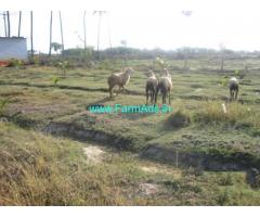 1.3 Acres Agriculture Land for Sale near Trichy