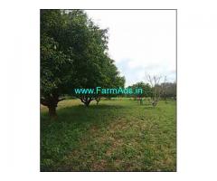8 Acres Mango Garden for Sale near Narsapur