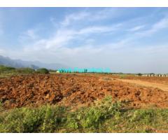 40 Acres of Cheap Agri Land for sale near Vasudevanallur, Tirunelveli