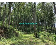1100 Acres of Coffee and Cardamom Estate for Sale at Megamalai, Tamilnadu