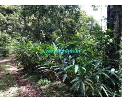 1100 Acres of Coffee and Cardamom Estate for Sale at Megamalai, Tamilnadu
