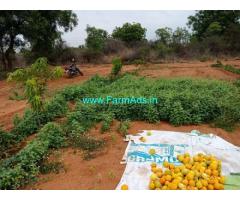 3 Acres Agriculture land for sale near Nagarjuna Sagar,Hyderabad Highway