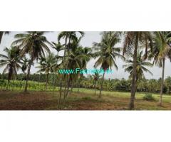 5.5 Acres Agriculture Land for Sale near Kunigal