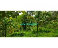 50 Cents Agriculture Land with House for Sale near Attapady