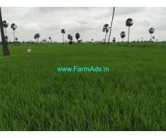9 Acres Agriculture Land for Sale near Edulagudem