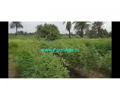 27 Acres Agriculture Land for Sale Near Vikarabad,Ananthagiri hills