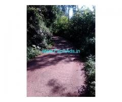 55 Cents Agriculture Land for Sale at Pachalur