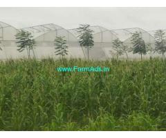 11.08 Acres Agriculture Land for Sale at Rayalapur