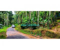 1.45 acres excellent plantation for sale in attappady, tar road frontage,