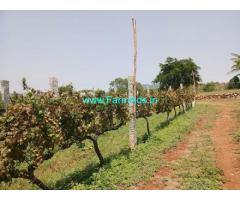 69 Acres Wine Yard for Sale near Doddaballapur