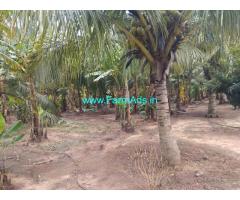 3 Acres Coconut farm for sale at Kinathukaduvu, Coimbatore