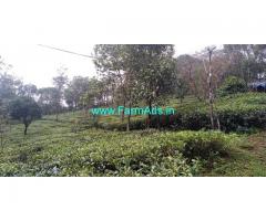 1 acre land for sale in Vagamon. 1 km from Vagamon town