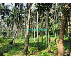 1.21 acres of water stream frontage land for sale in Attappady