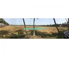 Canal Irrigated 50 Acres Paddy Land for sale near Narsapur