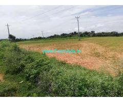 10 Acres Agriculture Land for Sale near Pileru