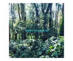 140 acre coffee estate for sale in Chikkamagaluru