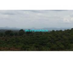 4.5 Acres Agriculture Land for Sale near Channapatna