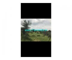 9.10 Acres Agriculture Land for Sale near Pagidipalli,KBR College