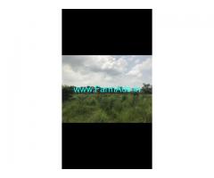 9.10 Acres Agriculture Land for Sale near Pagidipalli,KBR College