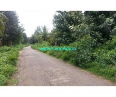 16 Acres Agriculture Land for sale in Bogadi Gaddige road