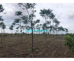 1 Acre Agriculture Land for Sale near Veerlapally