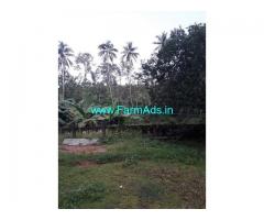 65 Acres Agriculture Land for Sale in Sulia