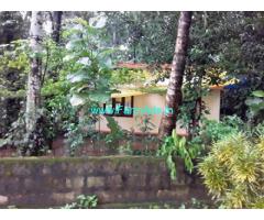 19 Cents Land with House for Sale at Muvattupuzha
