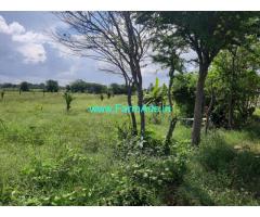 3 Acre Agricultural Farm land for sale at Kunikere, Hiriyur