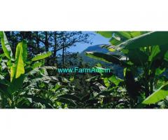 5 Acres Organic agriculture farming land sale in Kodaikanal