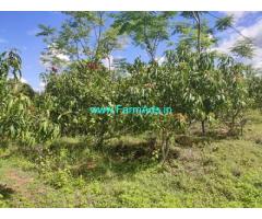15.27 Acres Agriculture Land for Sale near Holenarasipura