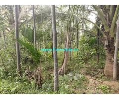 15.27 Acres Agriculture Land for Sale near Holenarasipura