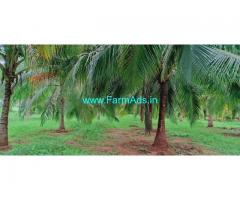 5.5 acres Coconut farm land sale in palani
